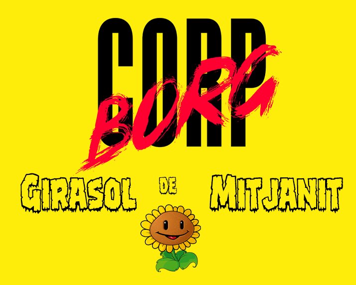 Girasol de mitjanit
